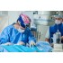 Актуальные вопросы детской хирургии - 72 часа