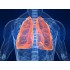 Заболевания органов дыхания. Диагностика и лечение – 36 ч.