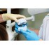 Актуальные вопросы стоматологии ортопедической НМО (для врачей) - 36 часов